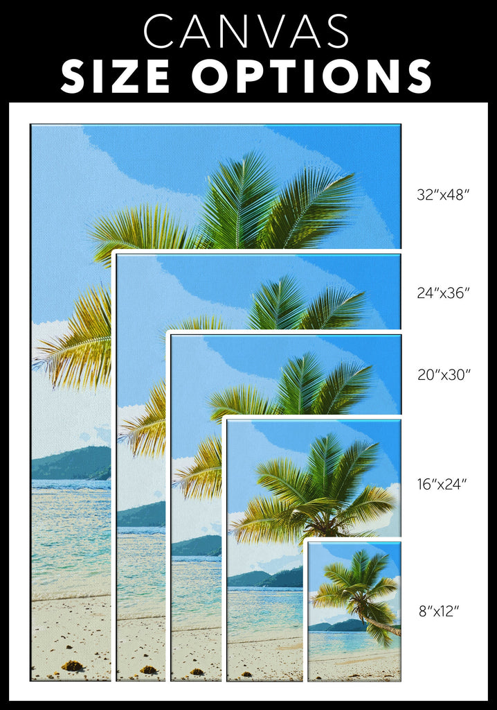 Tropical Palm Tree Beach Pop Art Illustration - World Travel Home Decor in Poster Print or Canvas Art