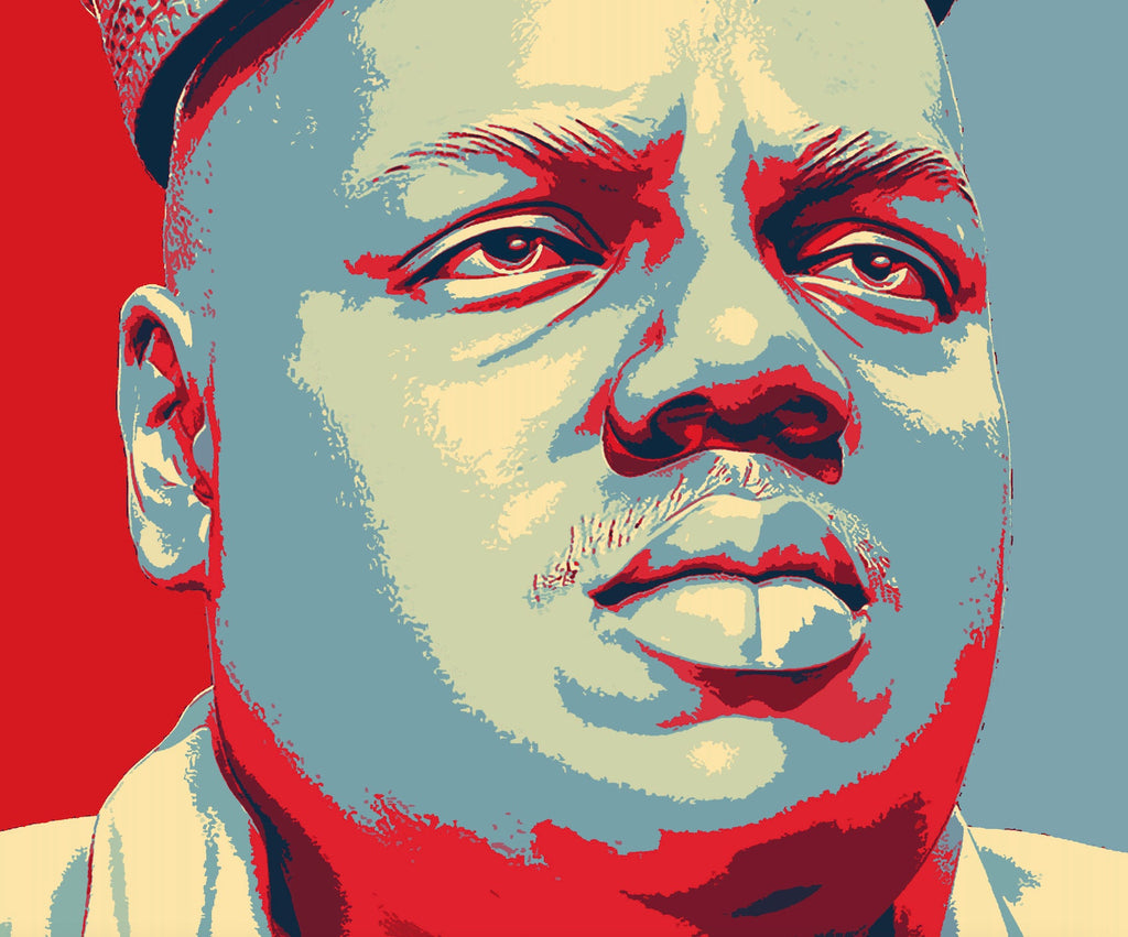 Notorious B.I.G. Pop Art Illustration - Biggie Smalls Rap Hip hop Music Icon Home Decor in Poster Print or Canvas Art
