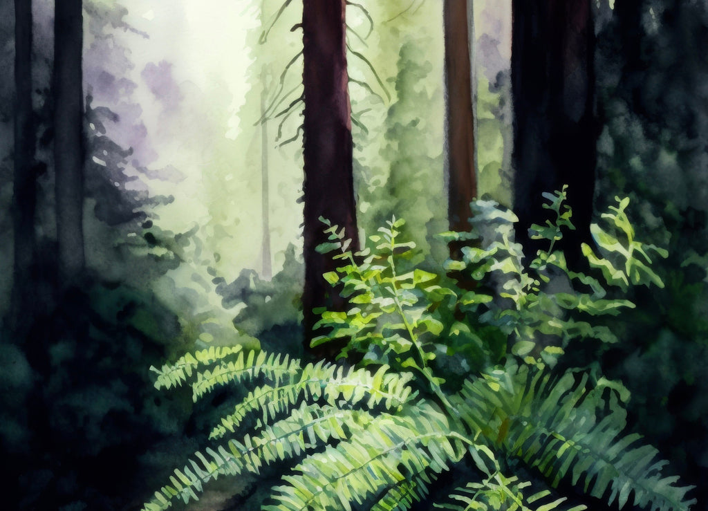 Redwood Tree Forest California Print Sequoia National Park Wall Art Landscape Watercolor Painting Gift Rustic Woodland Home Decor