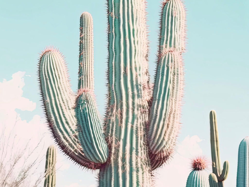 Saguaro Cactus Desert Landscape Watercolor Print Colorful Wall Art Southwest Gift Beautiful Nature Home Decor