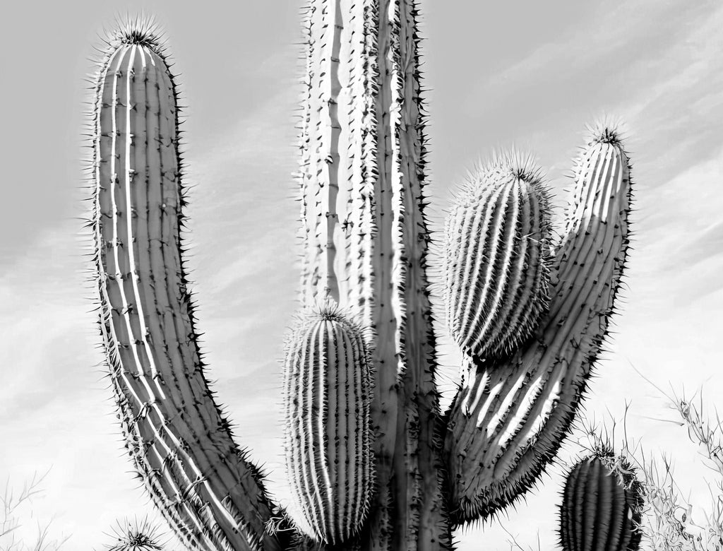 Saguaro Cactus Desert Landscape Watercolor Print Colorful Wall Art Southwest Gift Beautiful Nature Home Decor