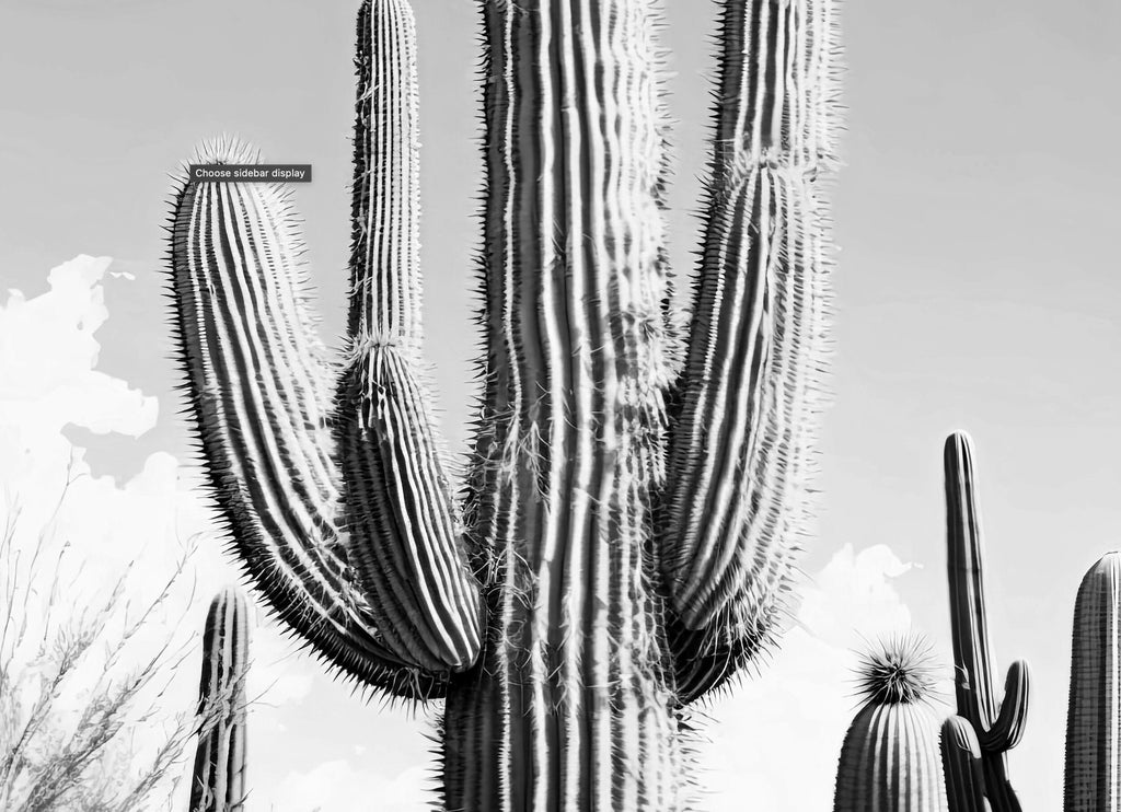 Saguaro Cactus Desert Landscape Watercolor Print Colorful Wall Art Southwest Gift Beautiful Nature Home Decor