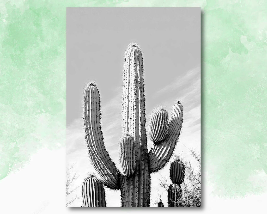 Saguaro Cactus Desert Landscape Watercolor Print Colorful Wall Art Southwest Gift Beautiful Nature Home Decor