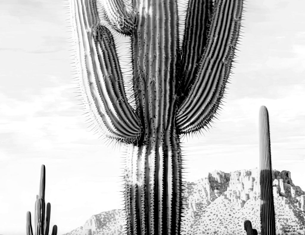 Saguaro Cactus Desert Landscape Watercolor Print Colorful Wall Art Southwest Gift Beautiful Nature Home Decor