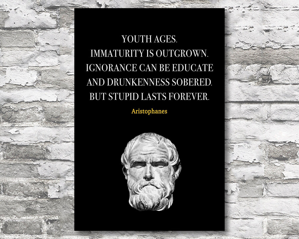 Aristophanes Motivational Wall Art | Inspirational Home Decor in Poster Print or Canvas Art