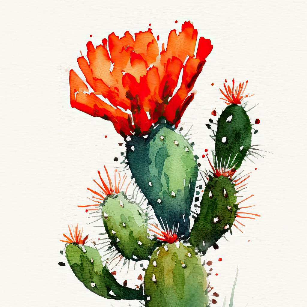 Cactus Plant Flower Print Watercolor Painting Botanical Wall Art Southwest Artwork Gift Rustic Desert Home Decor