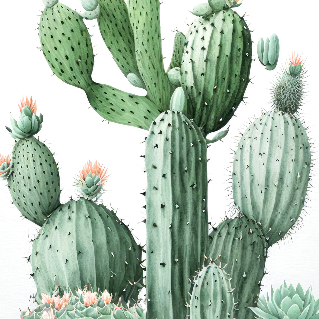 Cactus Plant Print Watercolor Painting Botanical Wall Art Southwest Artwork Gift Rustic Desert Home Decor