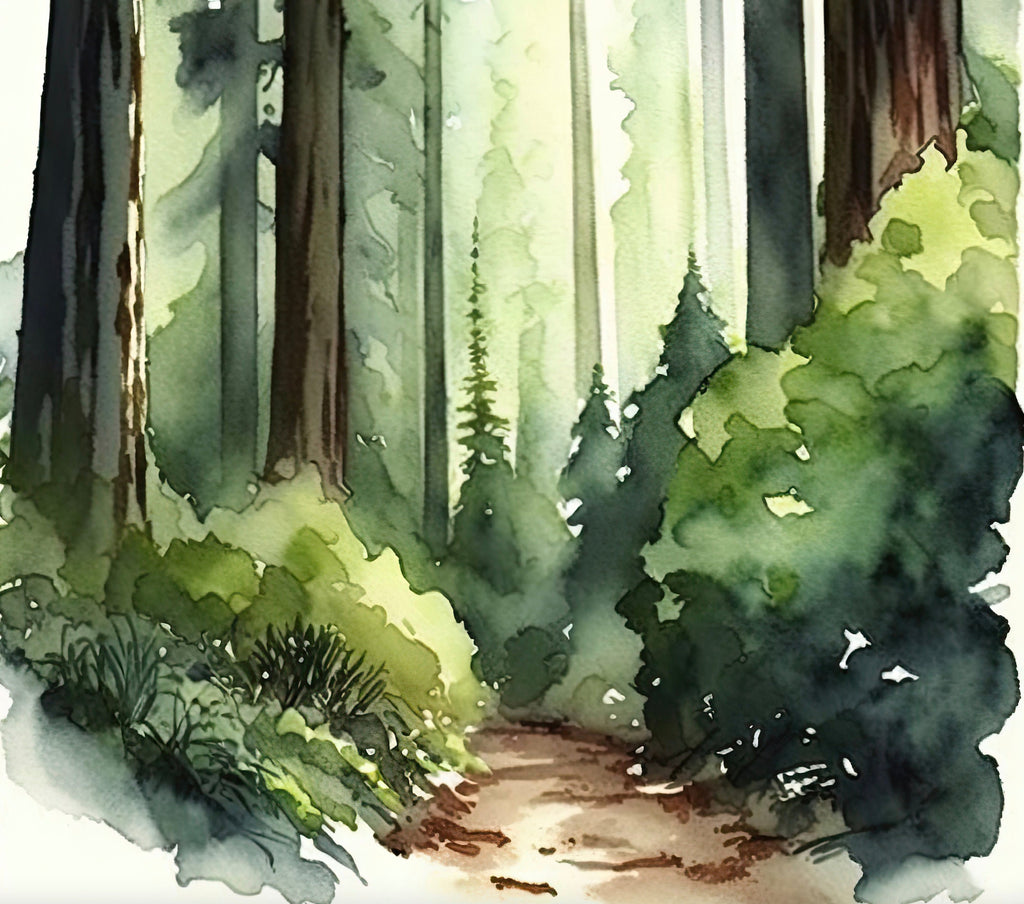 Redwood Tree Forest California Print Sequoia National Park Wall Art Landscape Watercolor Painting Gift Rustic Woodland Home Decor